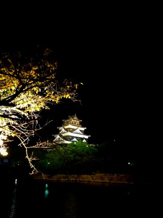 おまけのライトアップ広島城 おまけのライトアップ広島城
