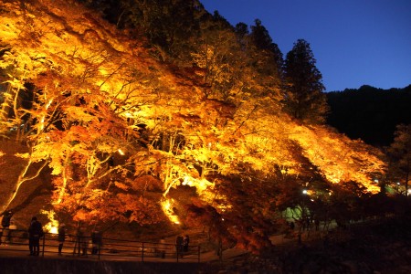 ぱっとみ火事なんじゃないかと心配になる ぱっとみ火事なんじゃないかと心配になる